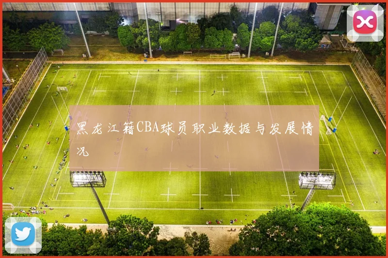 黑龙江籍CBA球员职业数据与发展情况