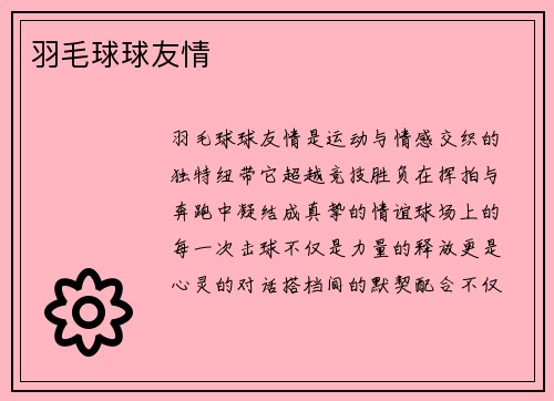 羽毛球球友情