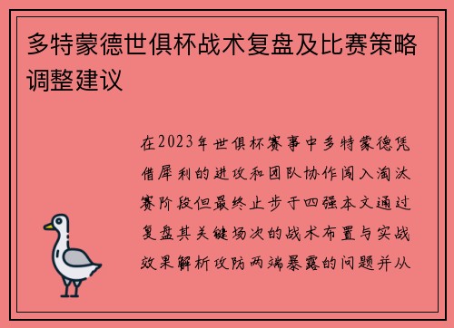 多特蒙德世俱杯战术复盘及比赛策略调整建议
